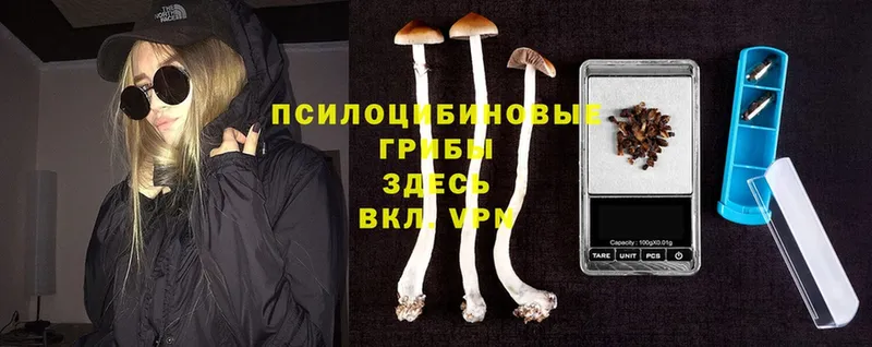 MEGA сайт  где продают наркотики  Струнино  Галлюциногенные грибы Cubensis 